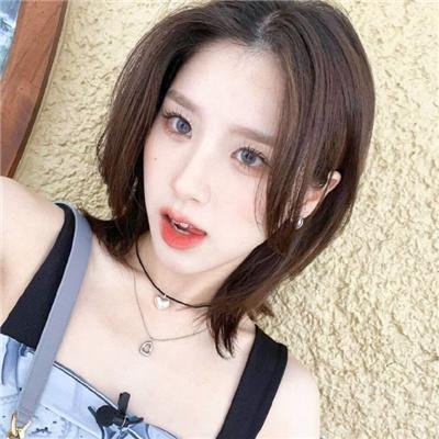 树袋熊